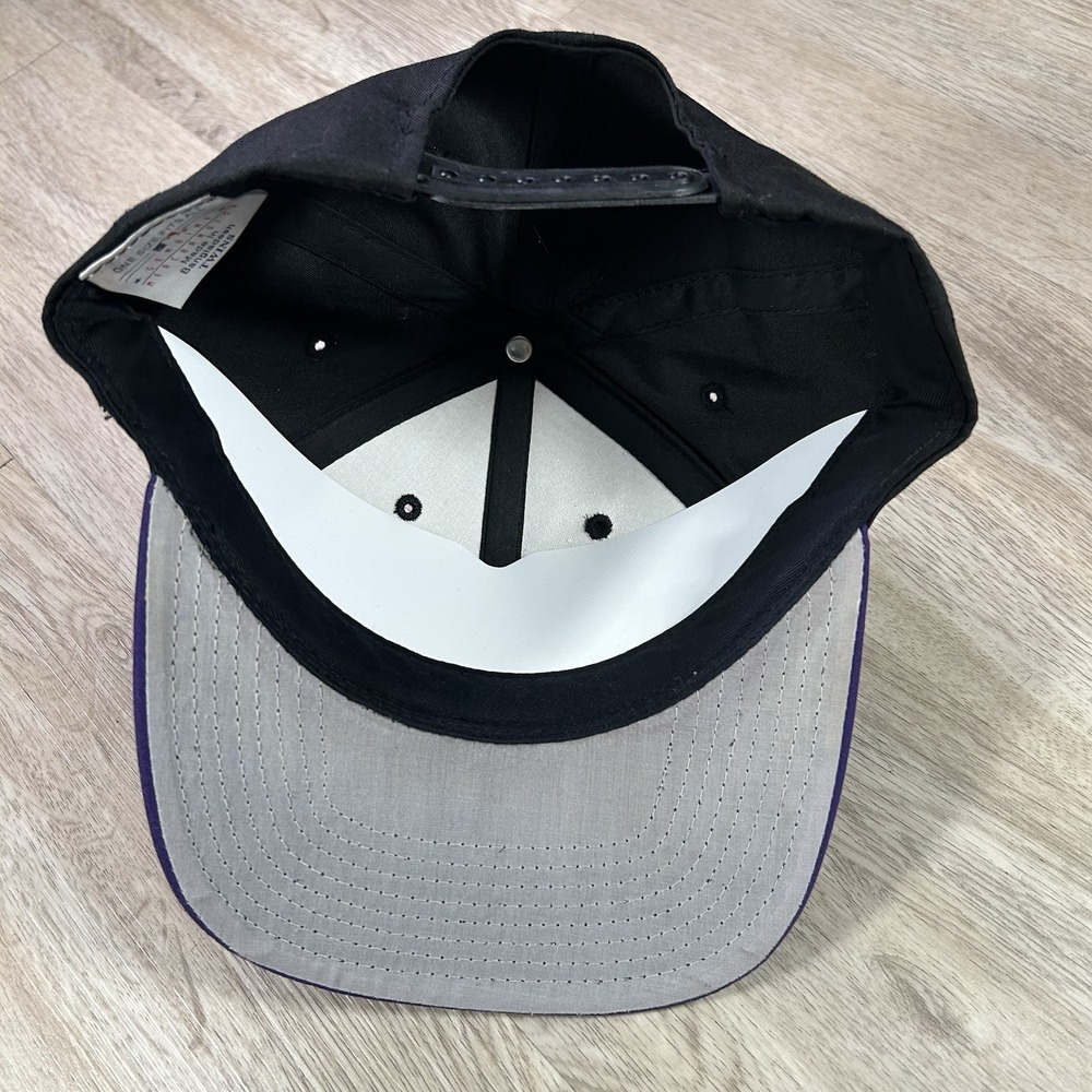 VTG Tampa Devil Rays Snapback Hat Deadstock MLB Baseball Twins‎ Black Purple Cap - Picture 3 of 9